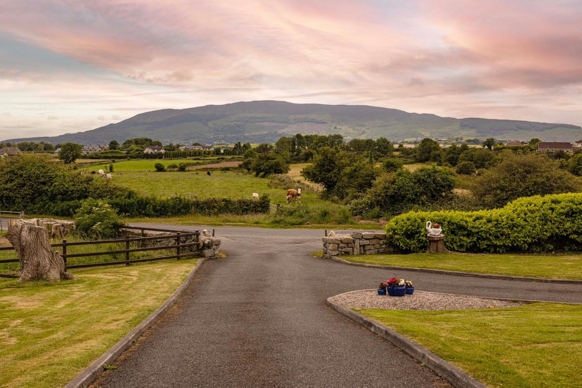 Mountain Nest At The Foot Of Slieve Gullion Apartment Cloghoge Luaran gambar